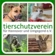 Tierschutzverein für Hannover und Umgegend e. V.