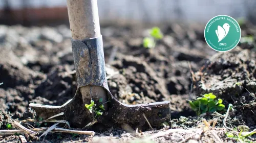 Urban Gardening 