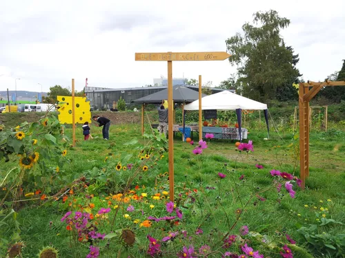 Gemeinschaftsgarten mit Geflüchteten