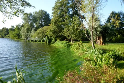 Einsatz für die Natur der Rummelsburger Bucht in Berlin!