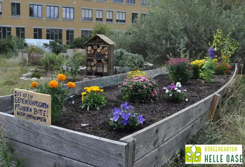 Bürgergarten Helle Oase - gemeinsam gärtnern