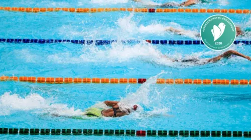 Trainer*in Erwachsenenschwimmen