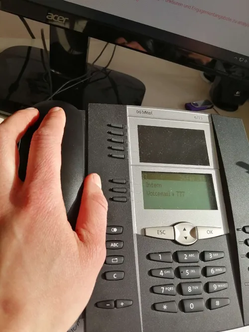 Telefonischer Besuchsdienst 