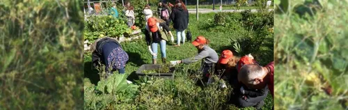 Urbane Gärten suchen Freiwillige