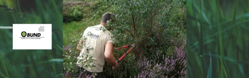 Dellbrücker Heide - die Bürger:innenheide in Köln