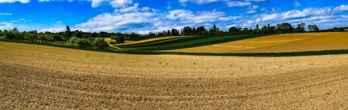 FÖJ beim Gemeinde-Bauhof Pleidelsheim