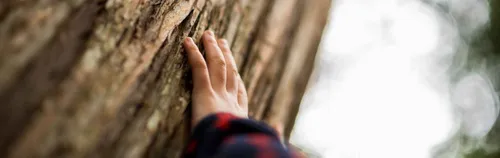 Mit Kindergruppen spielerisch die Natur in Stuttgart entdecken