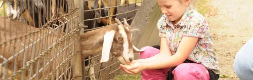 FÖJ im Zookindergarten