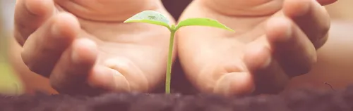 FÖJ im Umwelt- und Naturschutz in Freiburg