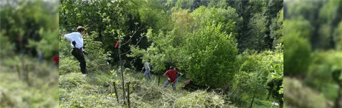 Hilf mit bei der Pflege von Landschaftsschutzgebieten in Stuttgart