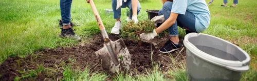 Naturbegeistert? - Starte ein ÖBFD in Ulm!