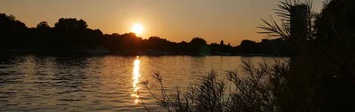 Einsatz für die Natur an der Rummelsburger Bucht in Berlin!