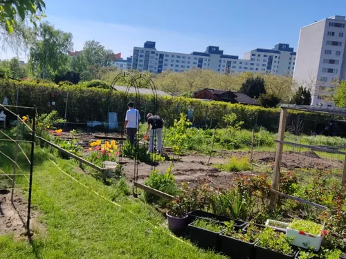 Gartencafé im Nachbarschaftsgarten Beettinchen