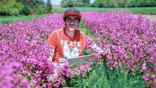 Anlegen und Pflegen von Bienenweiden