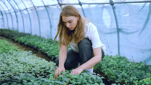 Unterstützung bei der Pflege von Garten und Außengelände