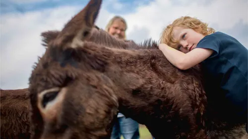 Gnadenhof sucht tierliebe Menschen