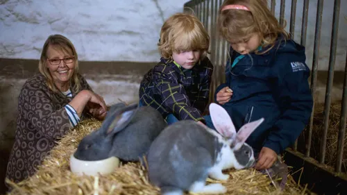 Helfer zum Kuscheln gesucht