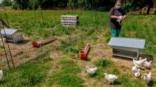 AG Bau in Rotkäppchens Garten