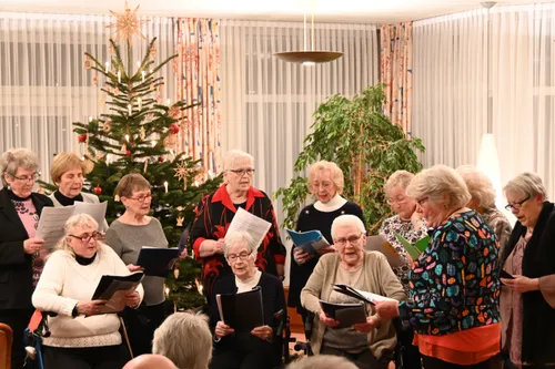 Leitung für motivierten Singkreis gesucht