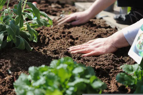 Unterstütze eine Aufnahmeeinrichtung für Geflüchtete bei Gartengestaltung und -pflege!