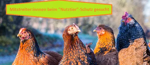 Aktiv werden für den Schutz von "Nutz"tieren in Frankfurt a.M. 