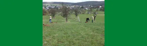 Unterstütze uns auf der Streuobstwiese!