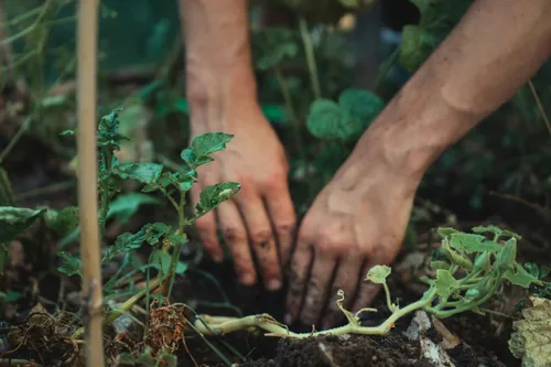 Gruppengründung für den Naturschutz in Berlin Neukölln