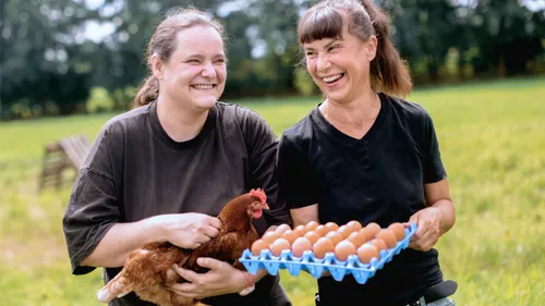 praktische Hilfe im Katzenhaus