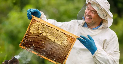 Imker*in gesucht: Gemeinsam mit Bewohner*innen Bienenhaltung gestalten  