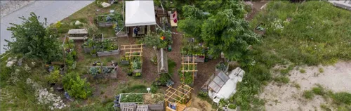 Urban Gardening im Campusgarten der FH Potsdam