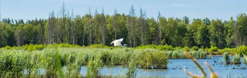 FÖJ bei Helmholtzzentrum für Umweltforschung - Department Ecosystem Service