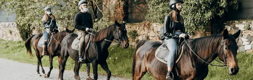 FÖJ auf dem Reiterhof und Landwirtschaftlichen Betrieb Kiesling