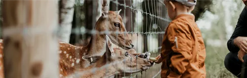 FÖJ im Tierpark Eilenburg