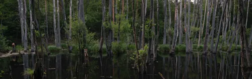 ÖBFD im Flächenmanagement der Stiftung Naturschutzfonds Brandenburg