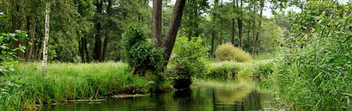 ÖBFD bei der Stiftung NaturSchutzFonds Brandenburg in der Öffentlichkeitsarbeit