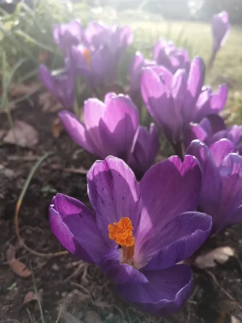 Arbeite in verschiedenen Stadtteil mit Kindern im Garten 