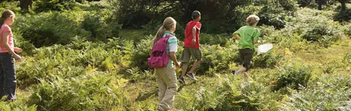 FÖJ im Waldkindergarten Hobbits