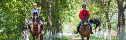 FÖJ bei Heilpädagogisches Reiten Ostfildern