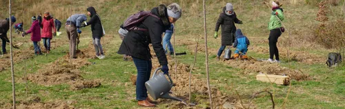 Bäume pflanzen in Leipzig und Umland