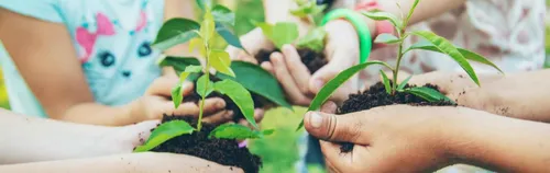 FÖJ in der Umweltpädagogik bei der Gartenarbeitsschule Hakenfelde