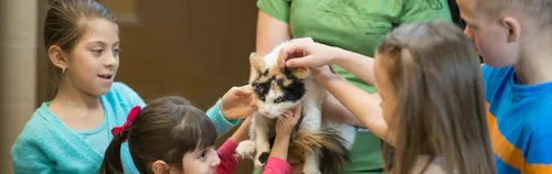 FÖJ in der Tierschutzjugend des Tierschutzvereins für Berlin