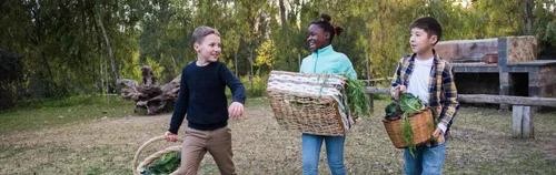 FÖJ in der Gartenarbeitsschule und Freilandlabor Schöneberg (Umweltpädagogik)