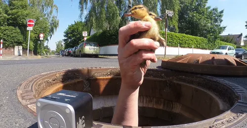 Unterstütze den Tiernotruf-Tierrettungsdienst