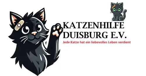 Katzenhilfe Duisburg e.V. - Jede Katze hat ein liebevolles Leben verdient
