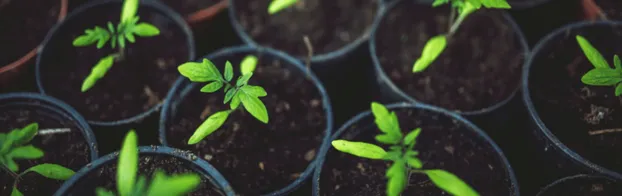 Mitmachen im Gemeinschaftsgarten by Querbeet- offener Garten