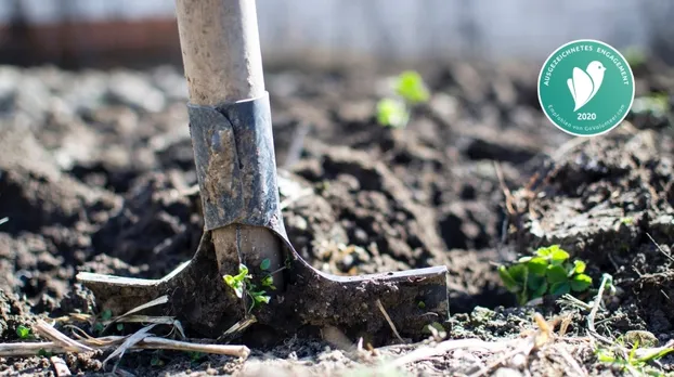 Urban Gardening  by Transition Town Frankfurt am Main e.V.