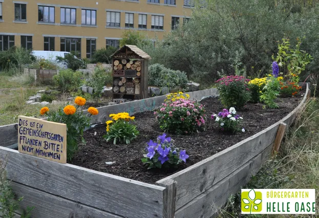 Bürgergarten Helle Oase - gemeinsam gärtnern bei Bürgergarten Helle Oase