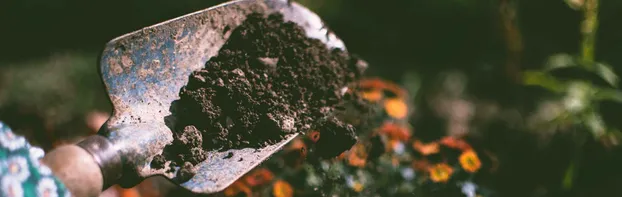 Urbanes Gartenprojekt bei Chloroplast Stuttgart e.V.