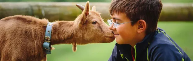 FÖJ auf der Jugendfarm Birkach