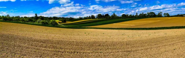 FÖJ beim Gemeinde-Bauhof Pleidelsheim bei Diakonie Baden Württemberg